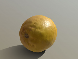 lemon 3D Model