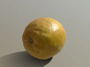 lemon 3D Model