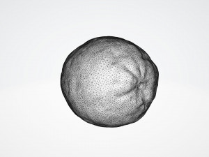 lemon 3D Model