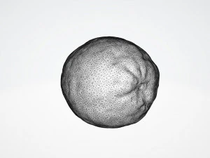 lemon 3D Model
