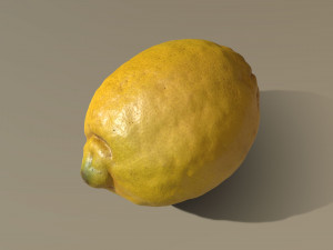 lemon 3D Model