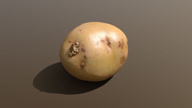 moris piper potato Modelo 3D .c4d .max .obj .3ds .fbx .stl .blend 