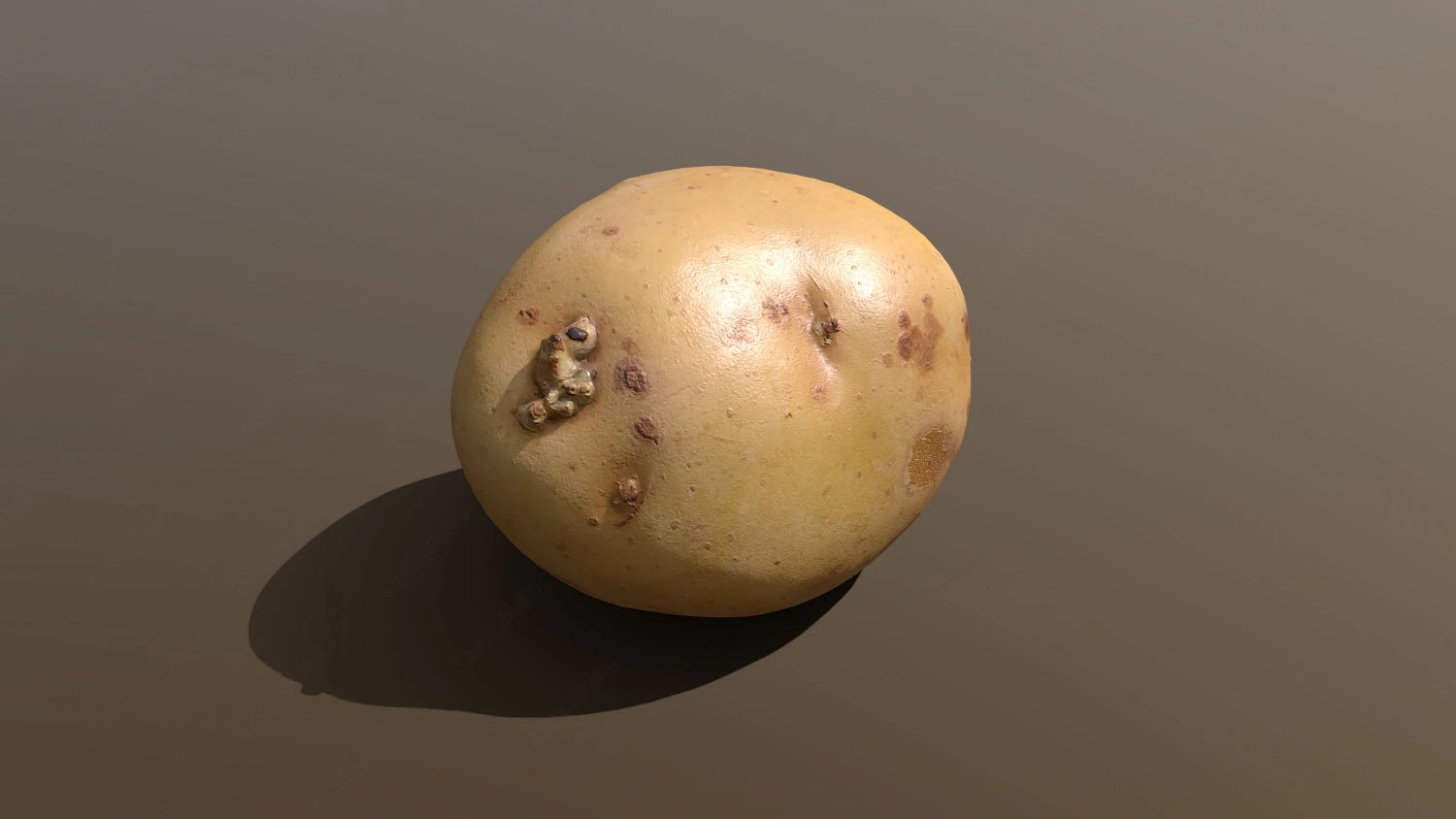 moris piper potato 3D Model .c4d .max .obj .3ds .fbx .stl .blend