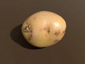 moris piper potato 3D Model