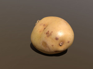 moris piper potato Modelo 3D