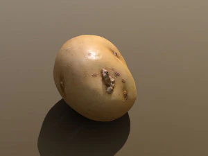 moris piper potato 3D Model