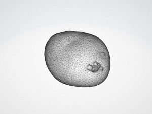 moris piper potato Modelo 3D