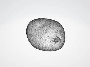 moris piper potato 3D Model