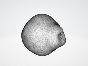 Quince 3D 模型