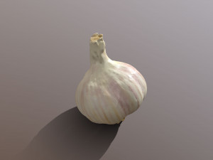 Garlic 3Dモデル