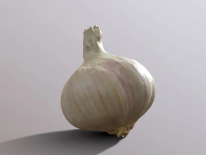 Alho Modelo 3D