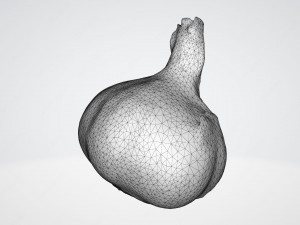 Garlic 3Dモデル