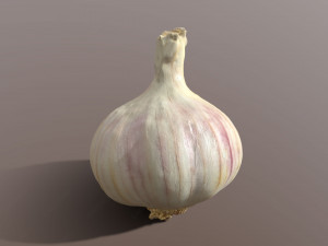 Garlic 3Dモデル
