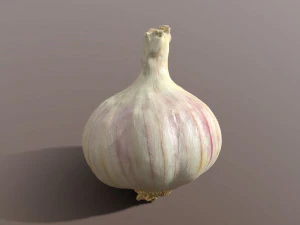 Alho Modelo 3D