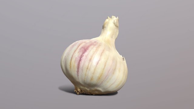 Garlic 3Dモデル .c4d .max .obj .3ds .fbx .stl .blend 