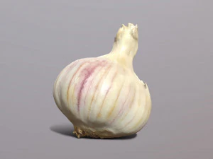 Bawang putih Model 3D
