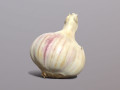 Garlic 3D Models