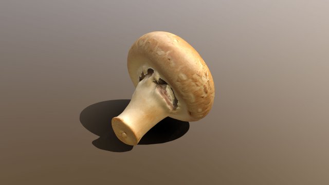 Chestnut Mushroom 3D Model .c4d .max .obj .3ds .fbx .stl .blend 