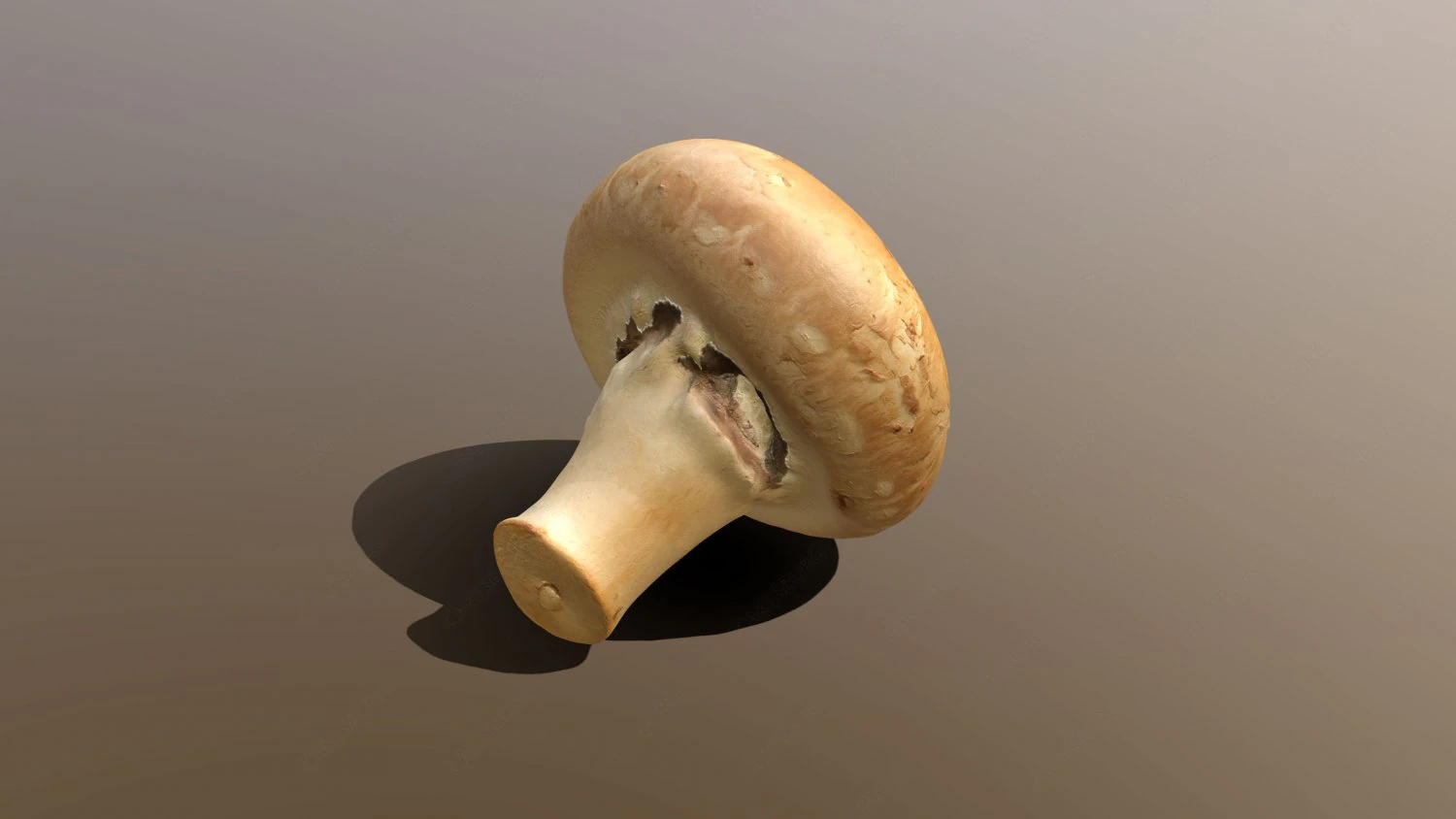 Chestnut Mushroom 3D Model .c4d .max .obj .3ds .fbx .stl .blend 