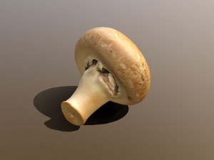 Chestnut Mushroom 3D Model