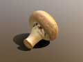 Chestnut Mushroom 3D Models