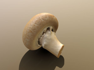 Chestnut Mushroom 3D Model