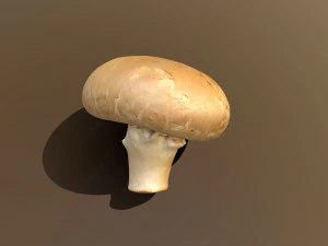 Chestnut Mushroom 3D Model