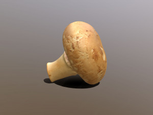 Chestnut Mushroom 3D Model