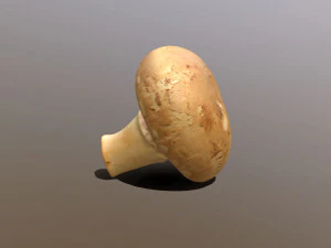 Chestnut Mushroom 3D Model