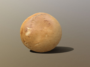 Chestnut Mushroom 3D Model