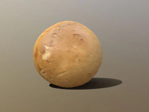 Chestnut Mushroom 3D Model