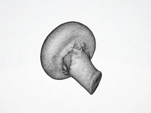 Chestnut Mushroom 3D Model