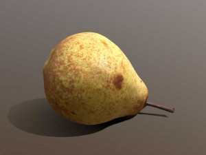Conference pear Modèle 3D
