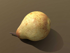 Conference pear Modèle 3D