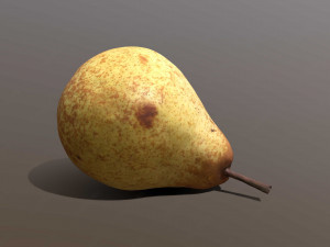 Conference pear Modelo 3D
