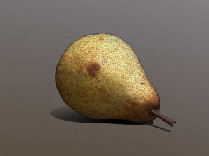Conference pear Modèle 3D