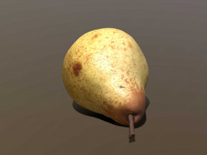 Conference pear Modèle 3D