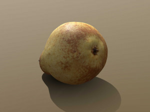 Conference pear Modèle 3D