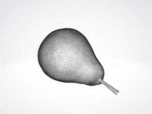 Conference pear Modèle 3D