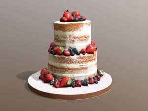 Semi Naked Berry Cake 3D Model