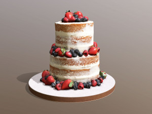 Semi Naked Berry Cake Modelo 3D