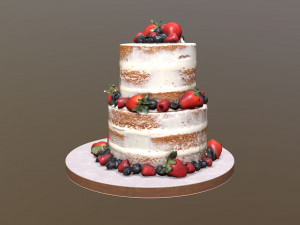 Semi Naked Berry Cake Modello 3D