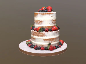 Semi Naked Berry Cake 3D Model
