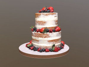 Semi Naked Berry Cake Modello 3D