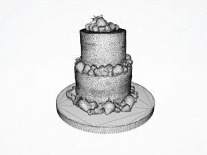 Semi Naked Berry Cake Modello 3D