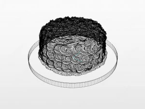 Rose Gold Rosette Cake 3D Model