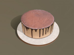 Plain Chocolate Drip Cake 3D Model