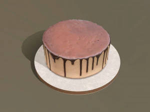Plain Chocolate Drip Cake 3D Model