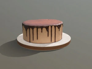 Plain Chocolate Drip Cake 3D Model