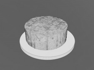Plain Chocolate Drip Cake 3D Model